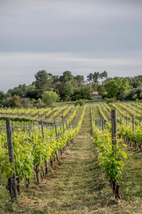 Domaine Rabiega - Vineyard And Boutique Hotel Draguignan Dış mekan fotoğraf
