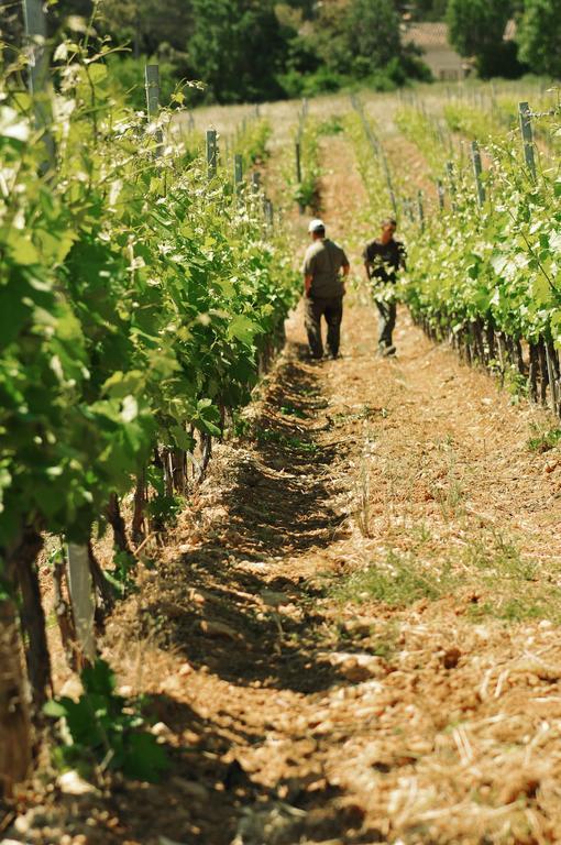 Domaine Rabiega - Vineyard And Boutique Hotel Draguignan Dış mekan fotoğraf