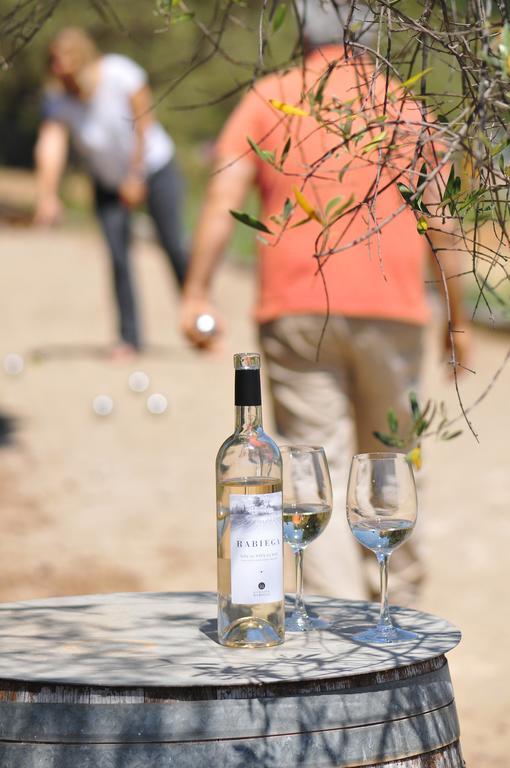 Domaine Rabiega - Vineyard And Boutique Hotel Draguignan Dış mekan fotoğraf